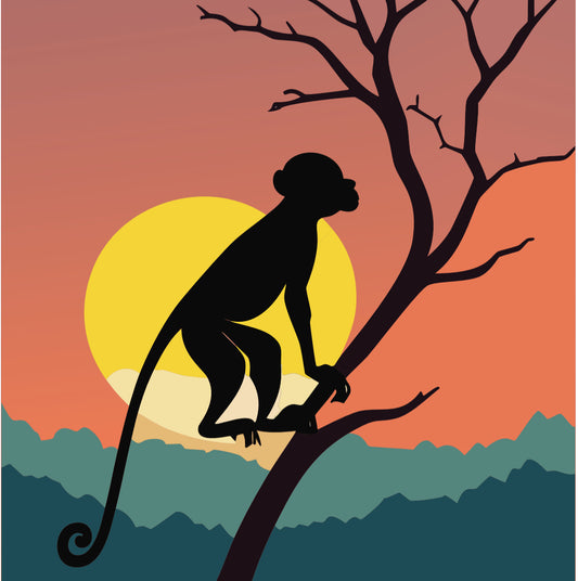PACK AFRICA